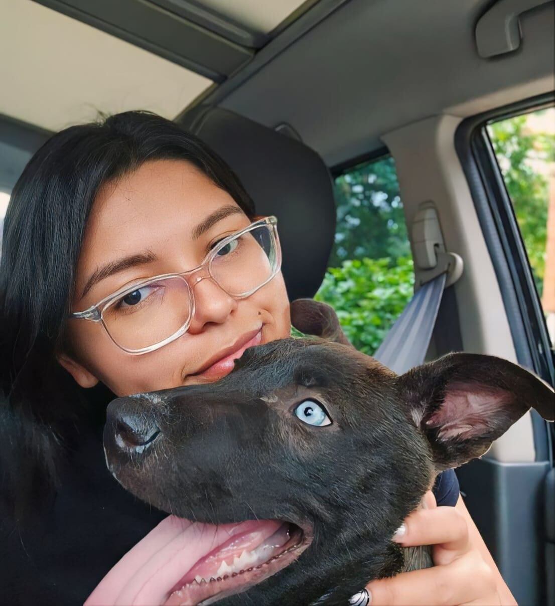 Estas son las fundadoras de la organización Perro Callejero.