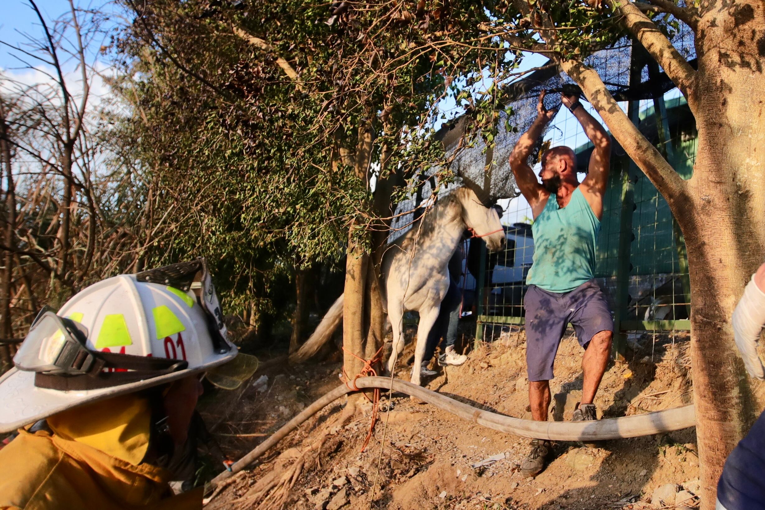 Incendio la Unión de Cartago