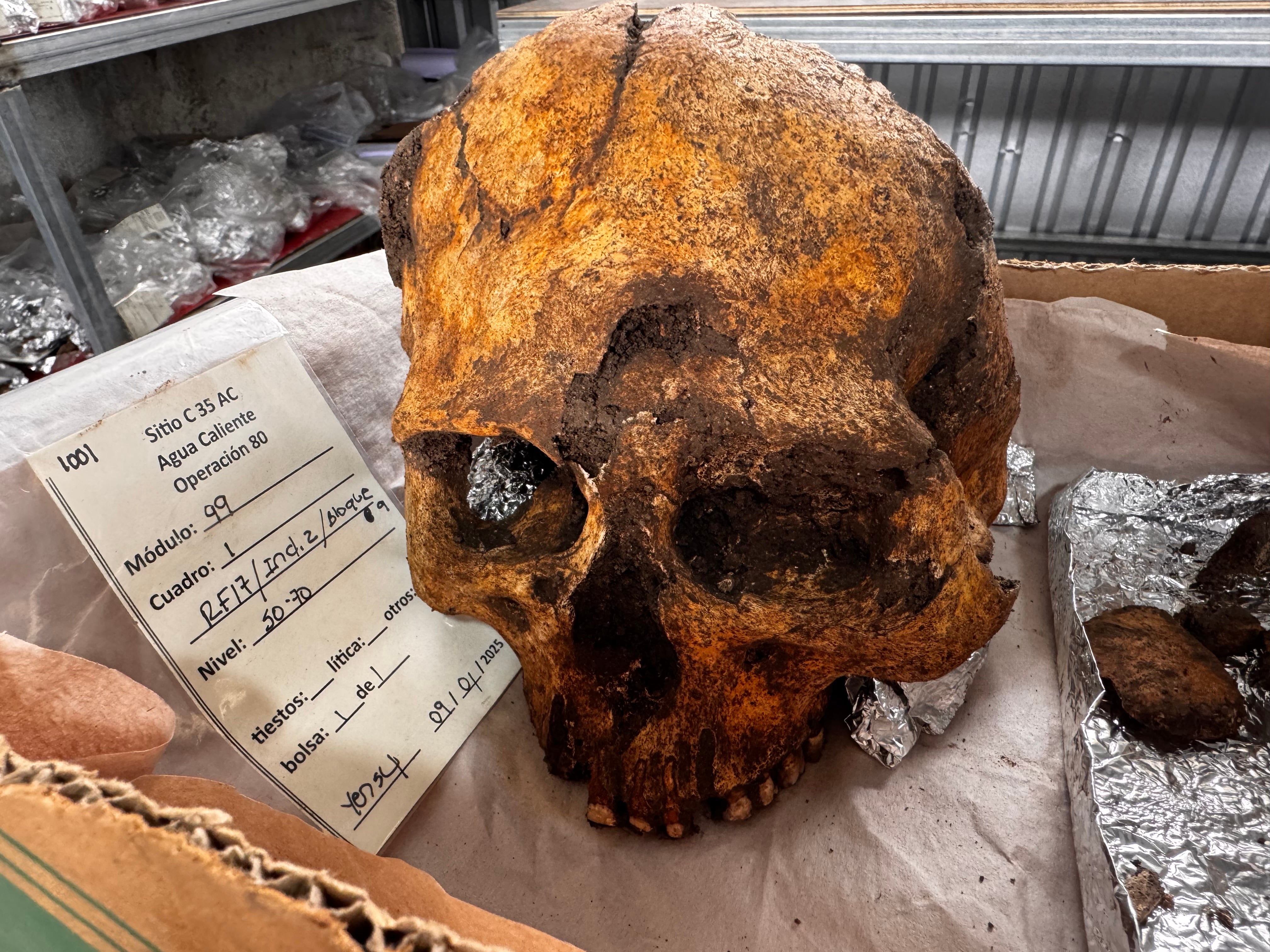 La experta del Museo Nacional, Grettel Monge Muñoz, nos confirma que lo encontrado en Agua Caliente de Cartago es un cementerio de cementerios indígena y que, por los hallazgos logrados hasta el momento, se trata de un lugar en donde enterraban a indígenas importantes y platudos.