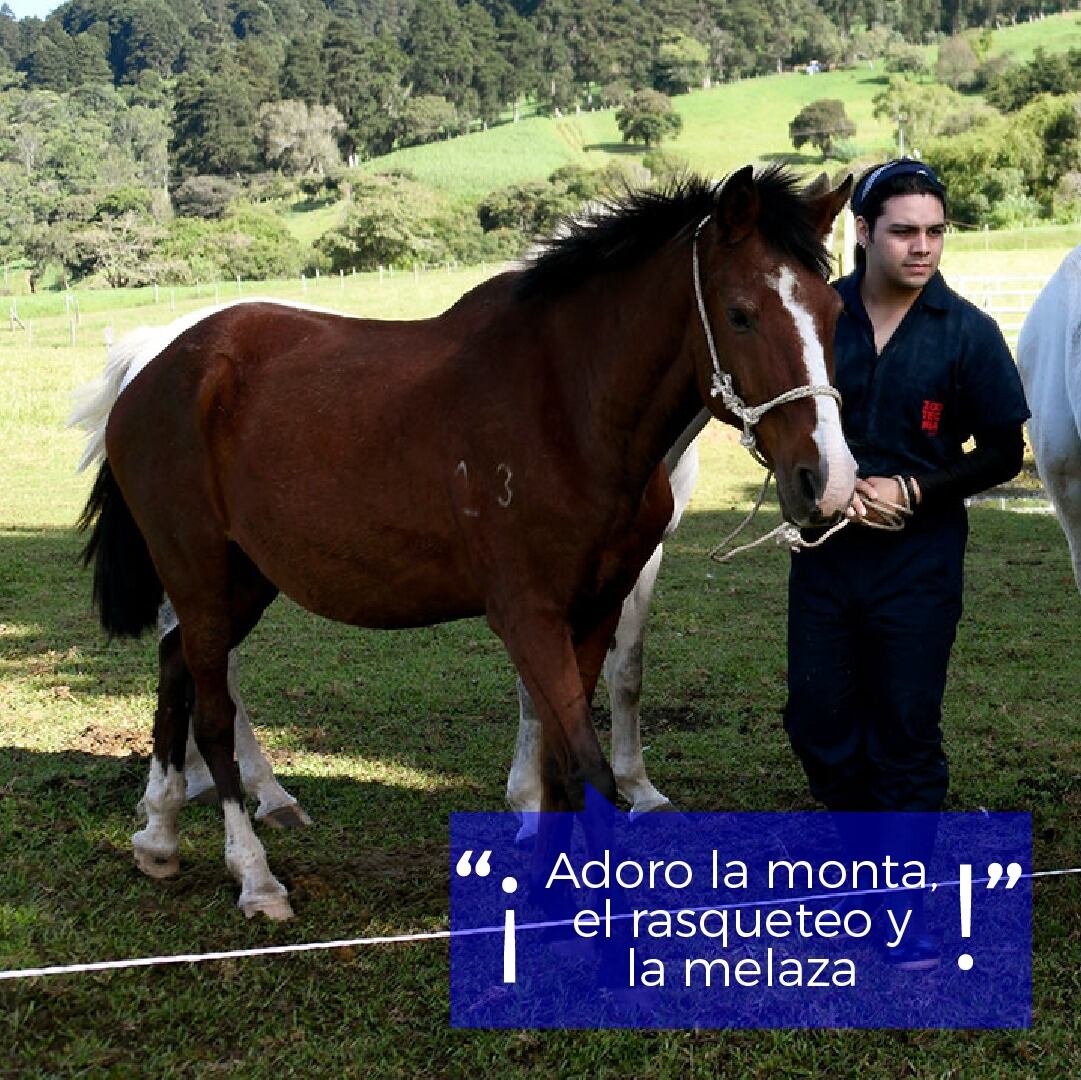 Wendy, Ronald y Chirulo sirvieron la mayor parte de su vida en el Instituto Clodomiro Picado en Coronado. Su trabajo consistió en producir anticuerpos contra las proteínas de los venenos con los cuales eran inmunizados