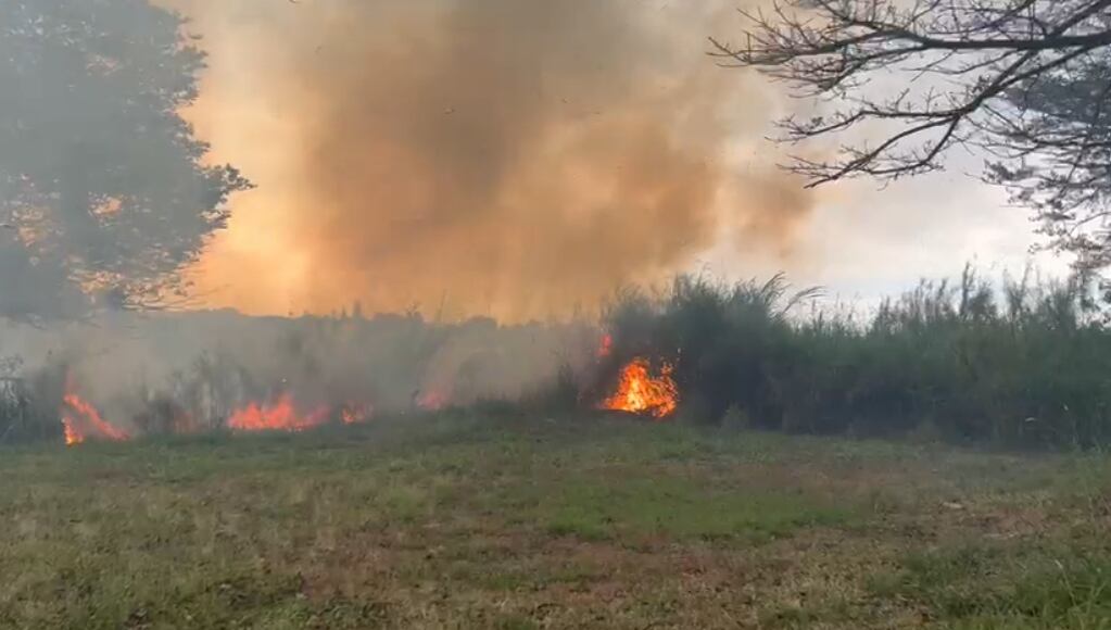 Los Bomberos tratan de controlar una quema de charral intensa que ocurre en Hatillo 2, San José, cerca de las inmediaciones de la zona conocida como María Reina. Foto: Bomberos