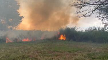 Enorme incendio en charral amenaza con destruir casas y talleres en conocido distrito josefino
