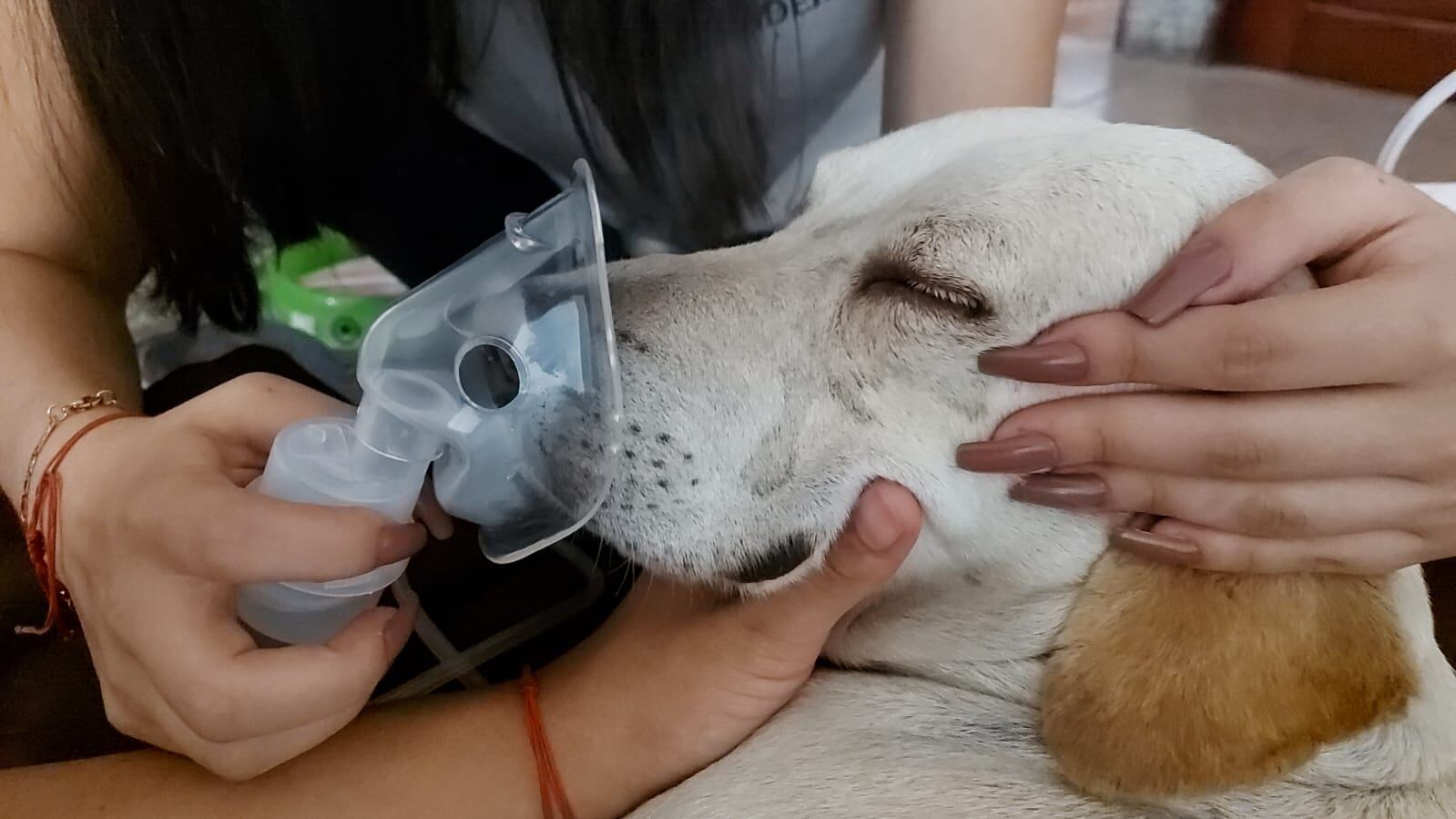 Familia lo perdió todo por incendio en Moravia. Foto cortesía Fabián Fernández.