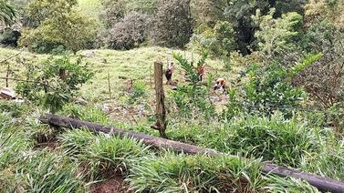 Carro cae en guindo de 30 metros en Puriscal, cuatro personas resultan involucradas en emergencia