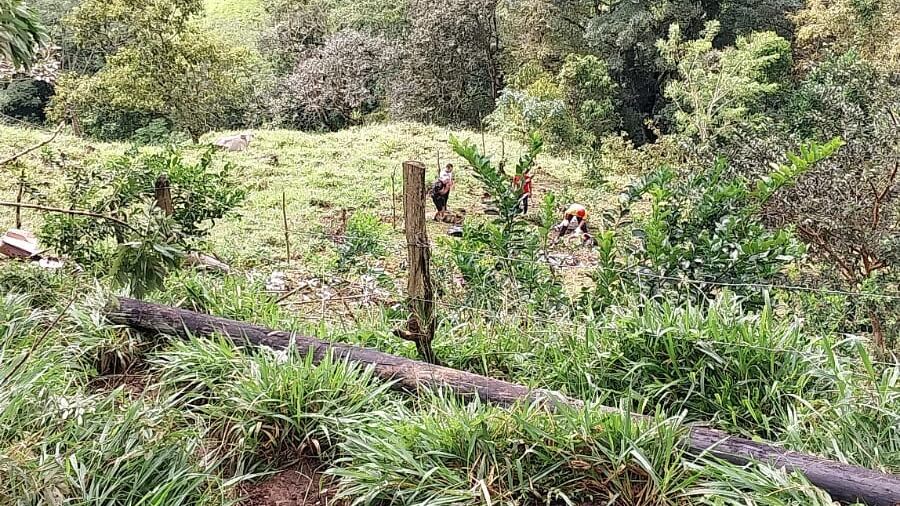 Cuatro personas sufrieron fuertes golpes al caer a un guindo de aproximadamente 30 metros en Mercedes sur de Puriscal. Foto: Tomadas de CN2 Noticias