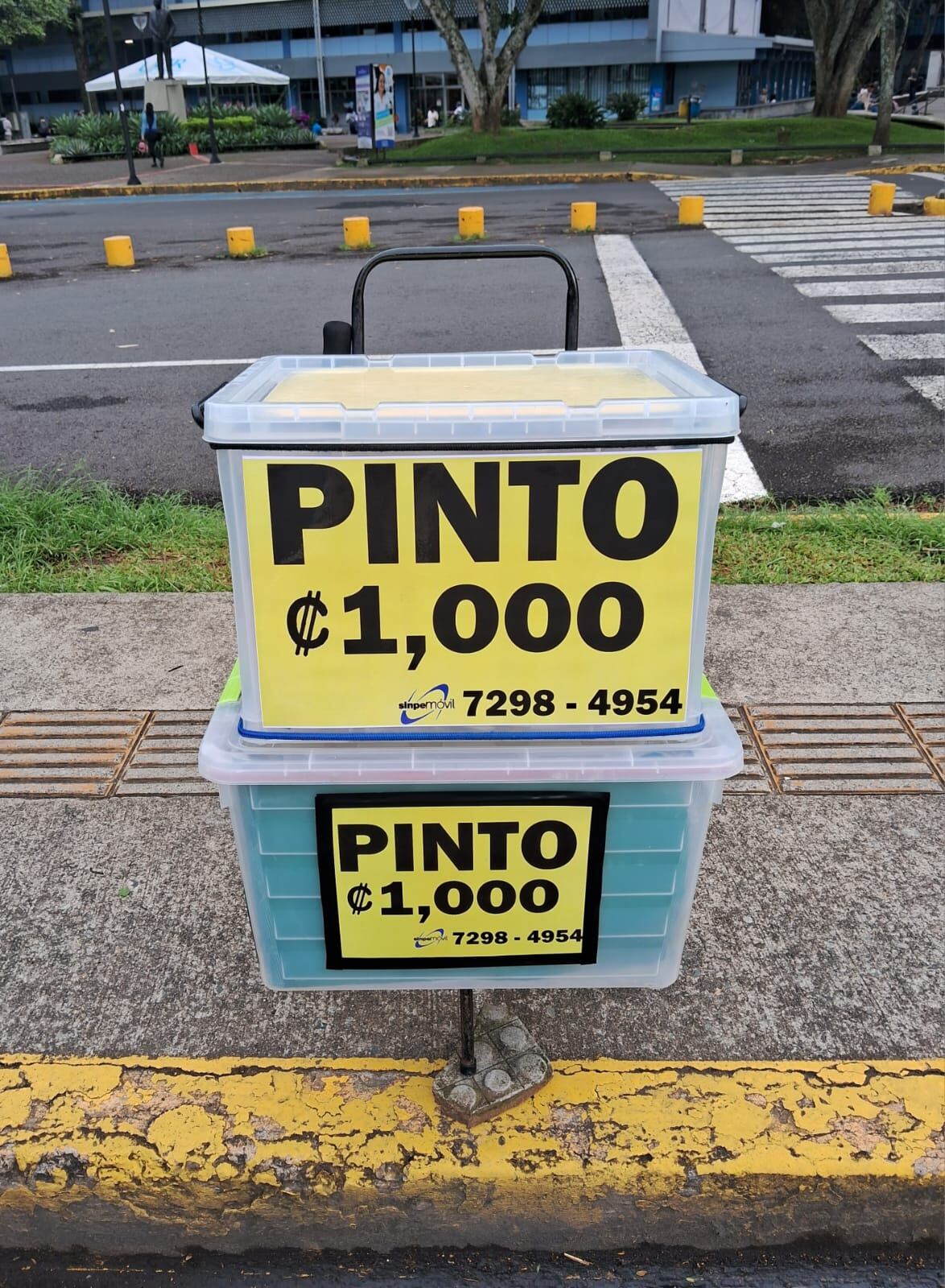 Emprendedor de pintos en la UCR