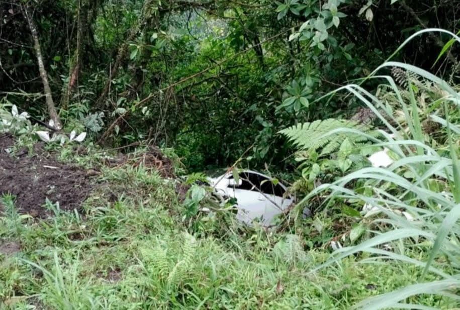 Vehículo cae a guindo en ruta 32