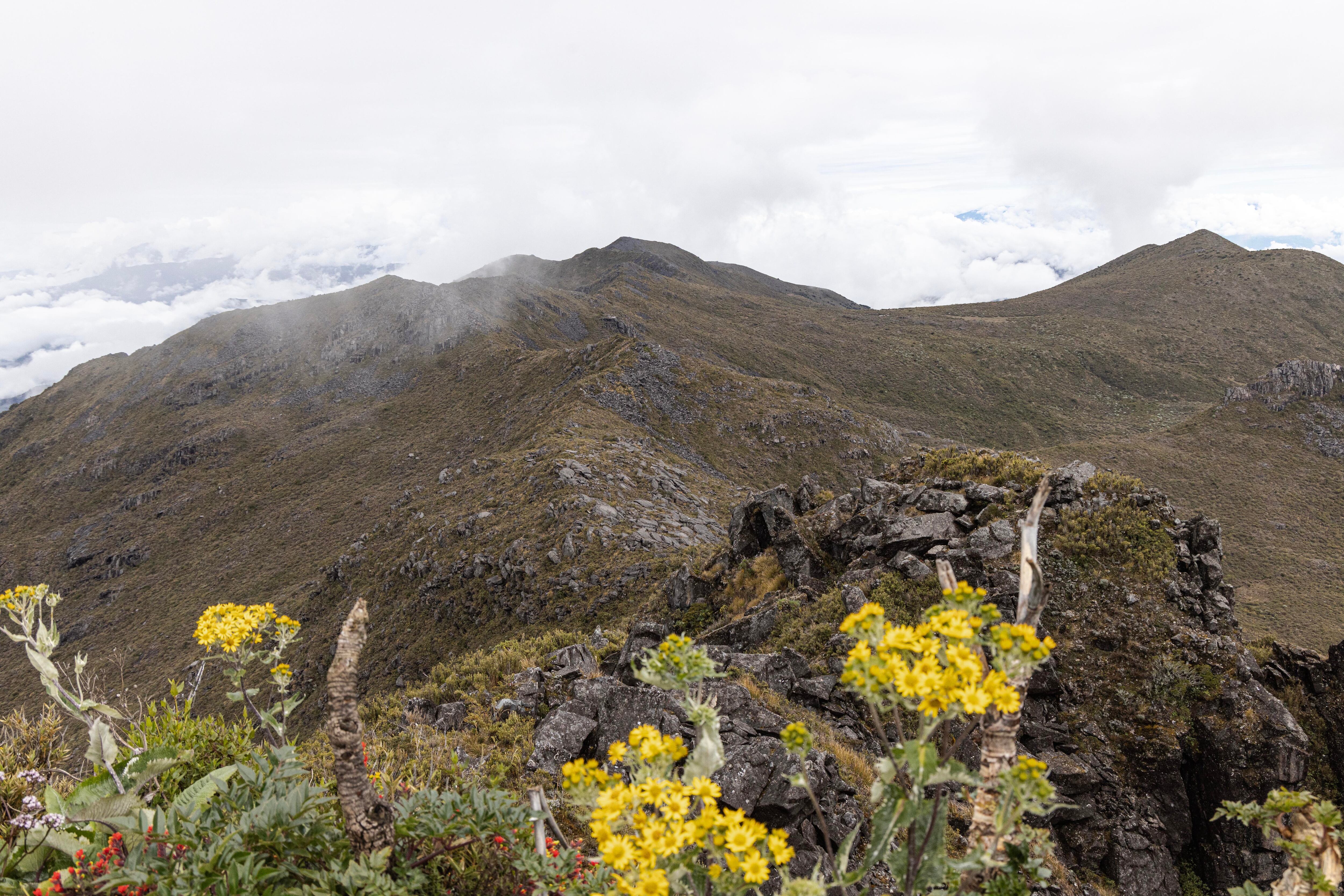 Parque Nacional Chirripo