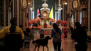 Si usted piensa llevar a su mascota a la romería, mejor lea esto antes de hacerlo