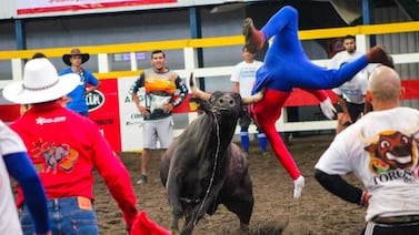 Vea lo que debe tener si va a debutar como torero improvisado en los festejos de Fin de Año