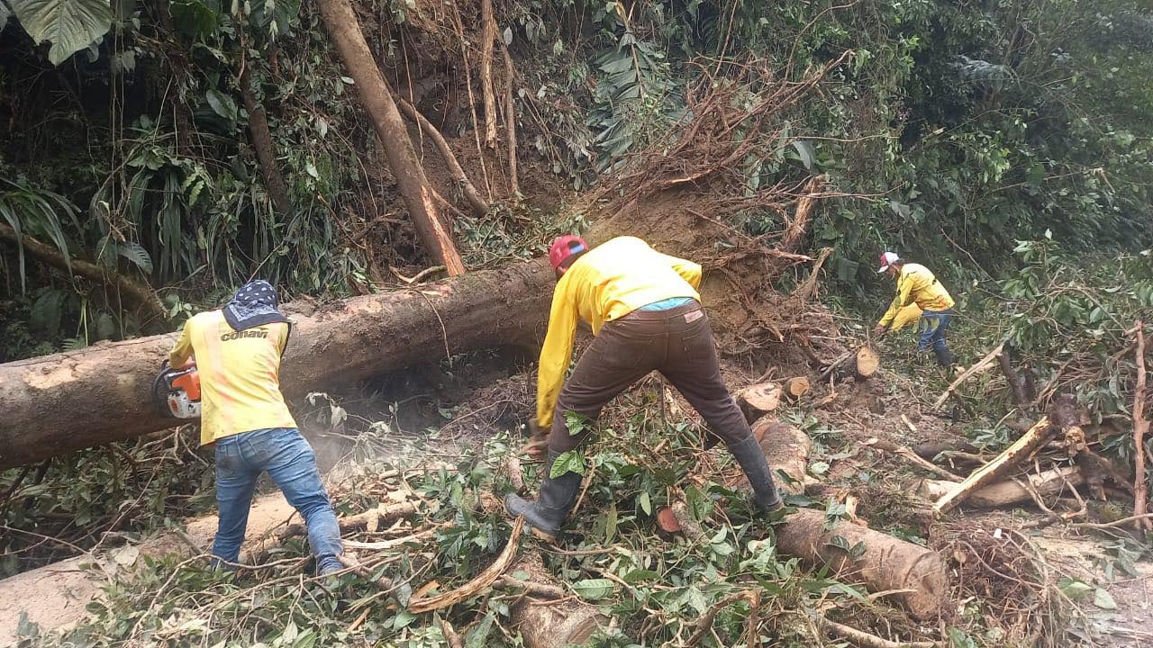 El MOPT señaló que hasta este sábado informarán la reapertura por la carretera Braulio Carrillo. Foto: MOPT