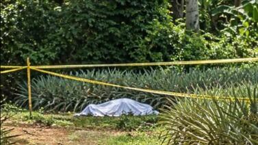 Hallan a hombre decapitado dentro de plantación piñera en San Carlos