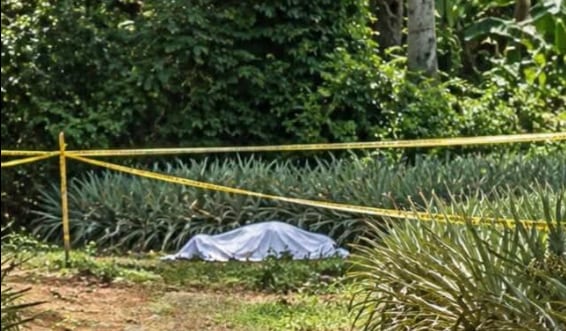 El cuerpo fue encontrado por un hombre que caminaba junto a su perro. Foto Redes.