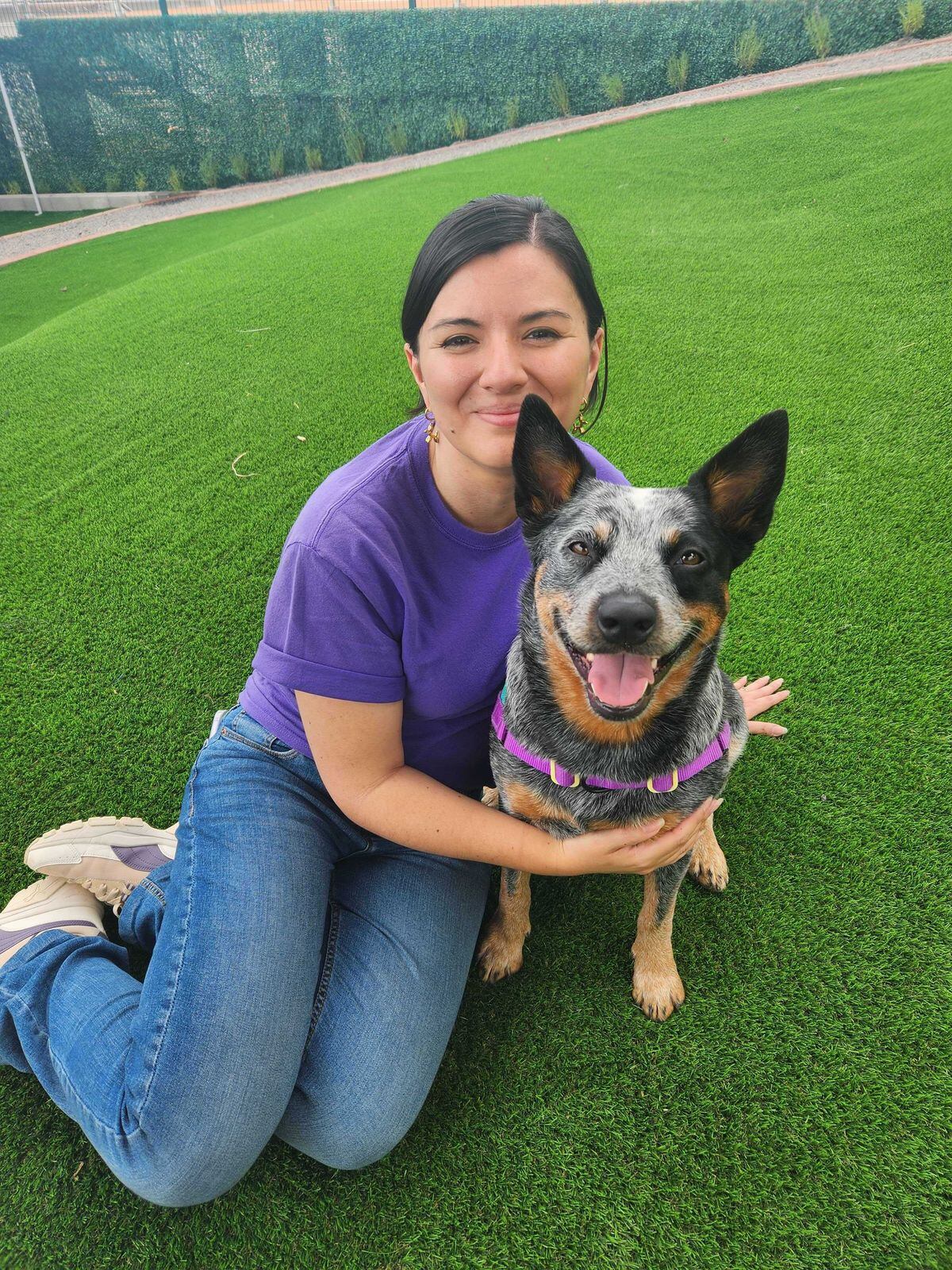 Viva Feria de Mascotas