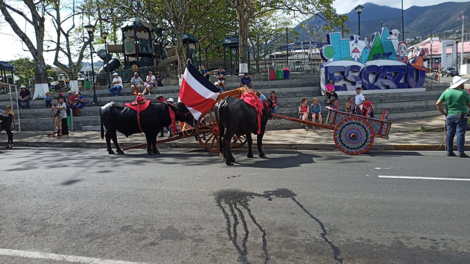 12/3/23 Día del boyero Nacional edición 40 Escazú. Foto de Jorge Castillo