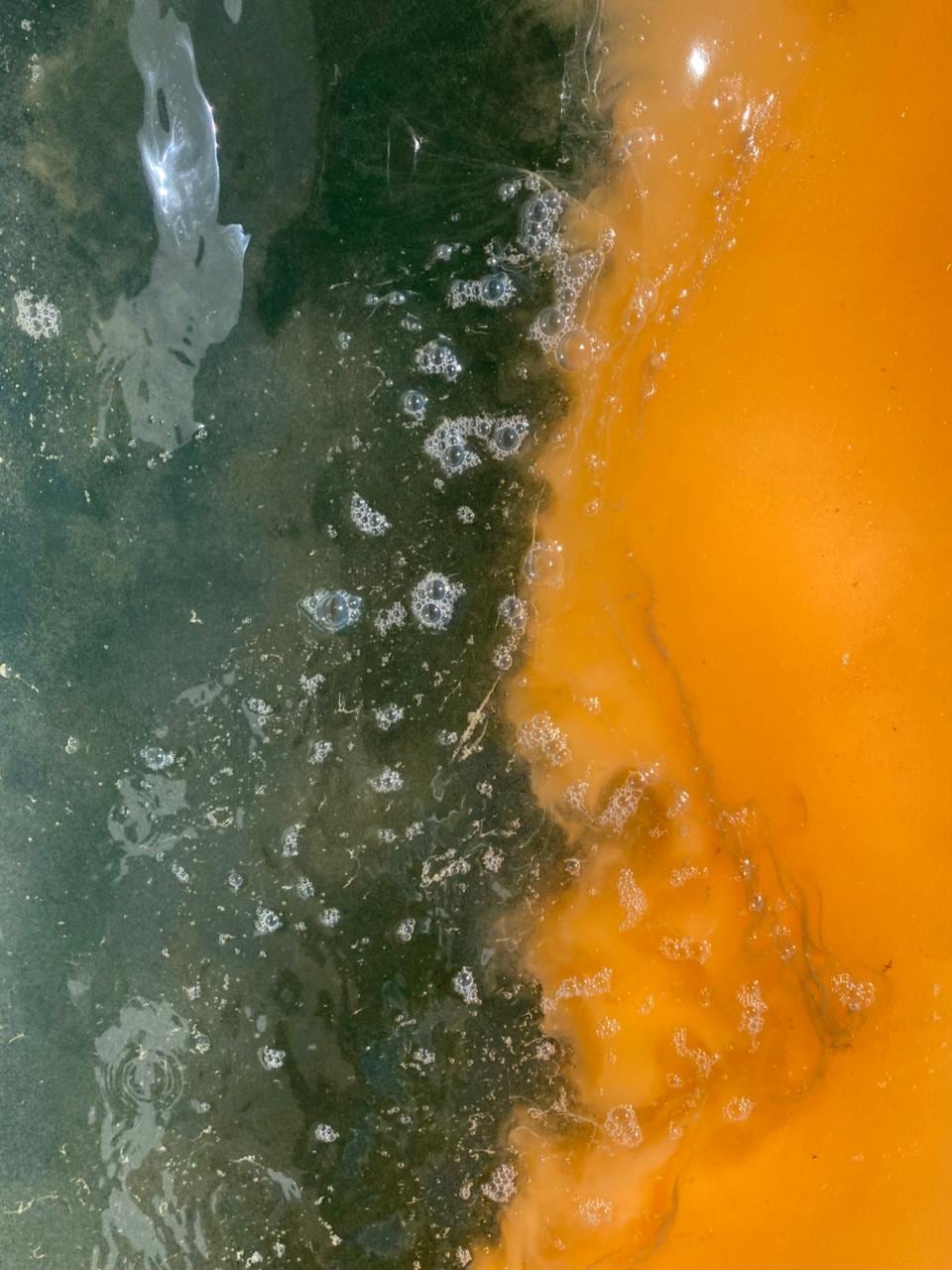 El experto explica que el nombre se asocia con la coloración de la marea, pero que no siempre que se da el fenómeno, se puede observar coloración en el agua.