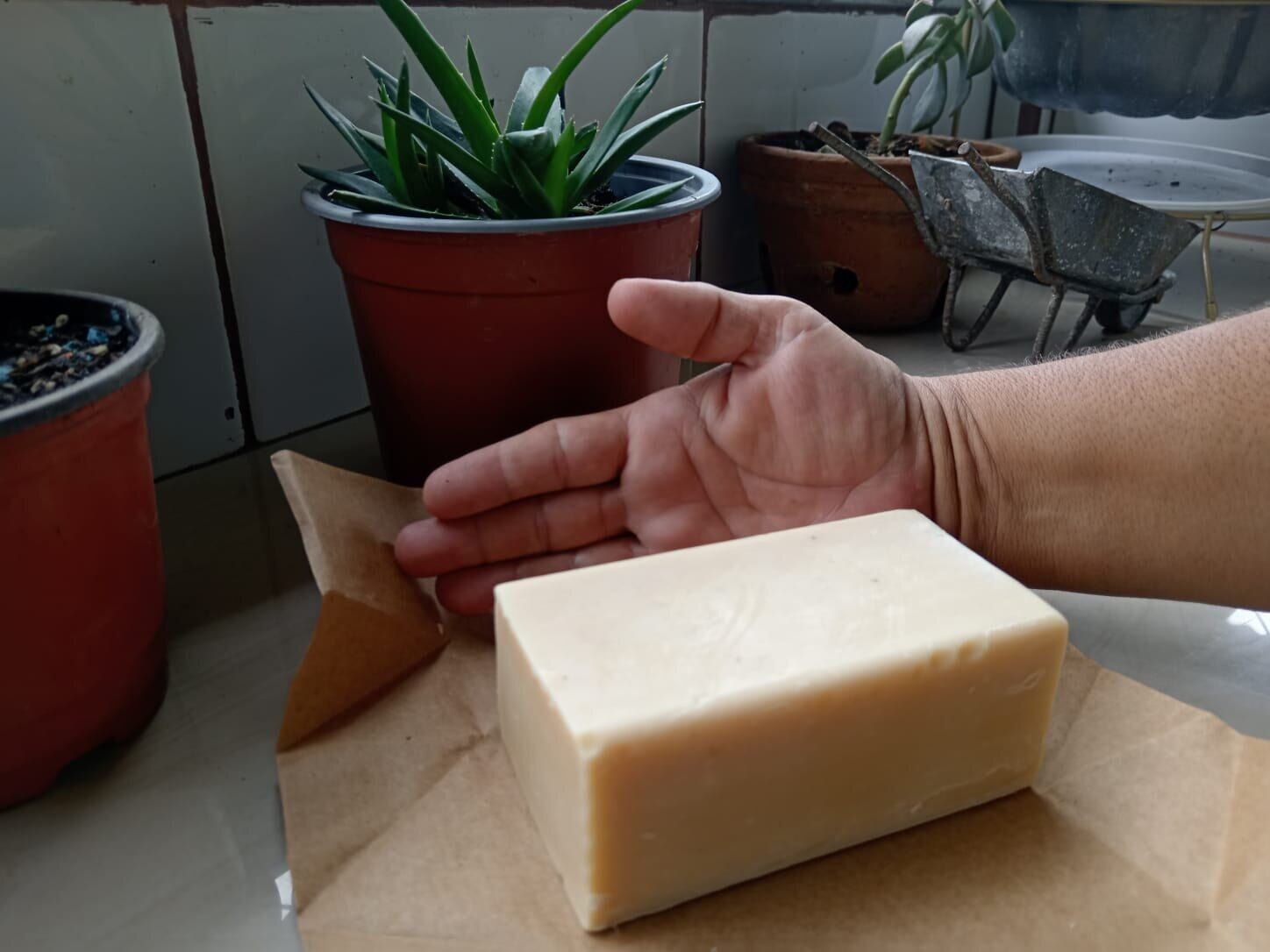 Este jabón puede utilizarse para múltiples tareas del hogar como lavar platos y aceras.