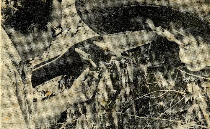 Tragedia Deportivo Monestel