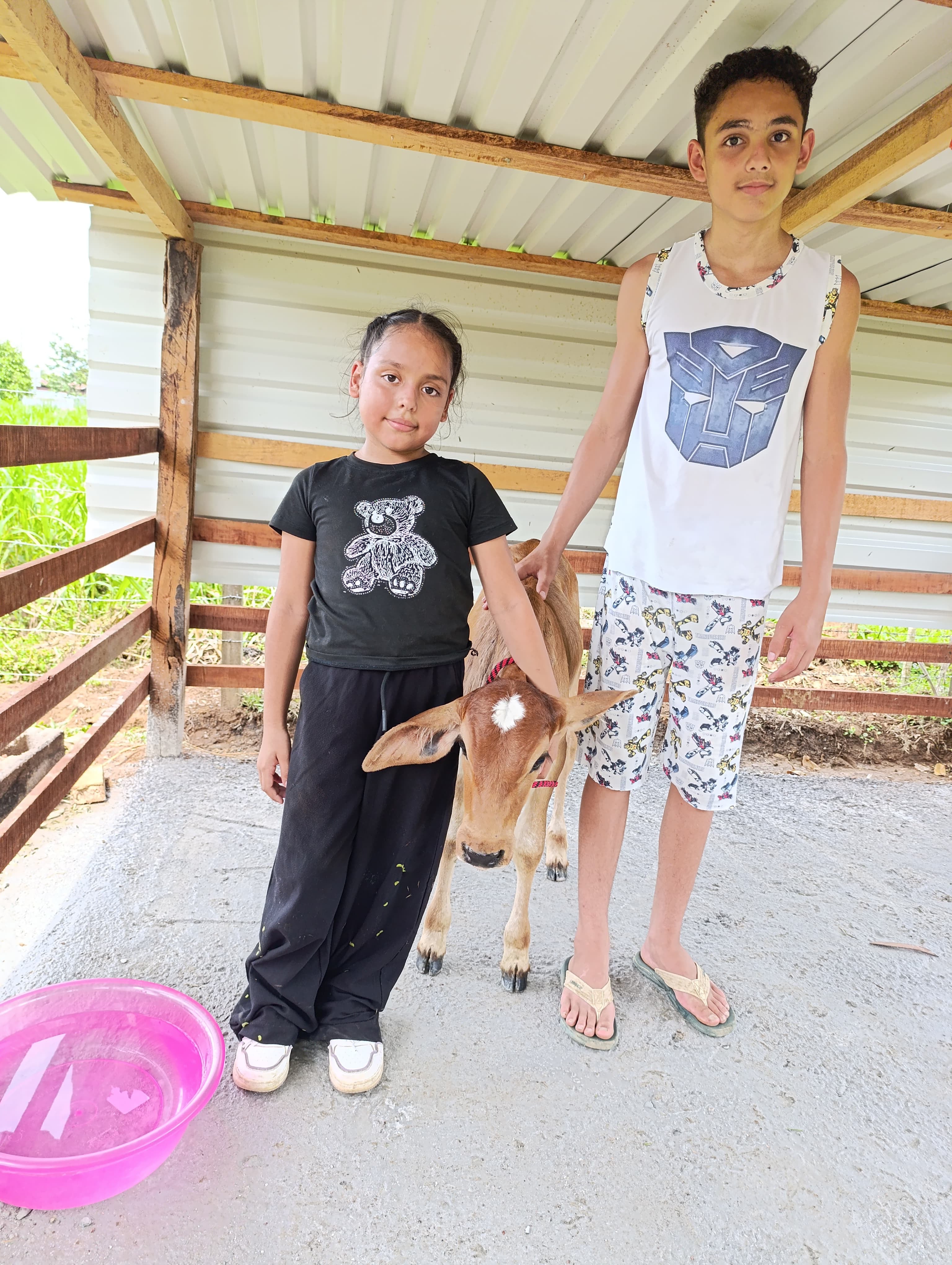 En el hogar de doña Kembly López Aguirre no hay perrito que ladre ni gato que maúlle más fuerte. En su casa, la reina es Meredith, una ternera de apenas dos meses y medio