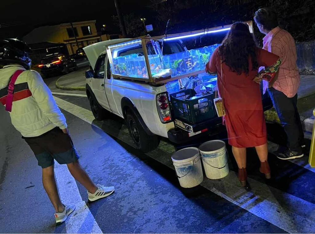 Acuario móvil un ingenioso negocito que también aporta seguridad óvil