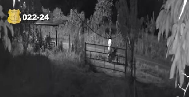 A William Rivera Bonilla “alias Maluma” y Kenneth Antonio Alfaro Alpízar los mataron a balazos en plena negociación, los responsables quedaron grabados y son buscados. Foto: OIJ