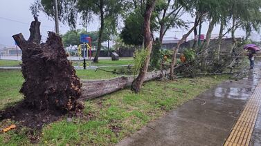 Abuelito de niño que murió al caerle árbol: “Hoy mi nieto me dijo que me tenía un regalito para el Día del Padre”