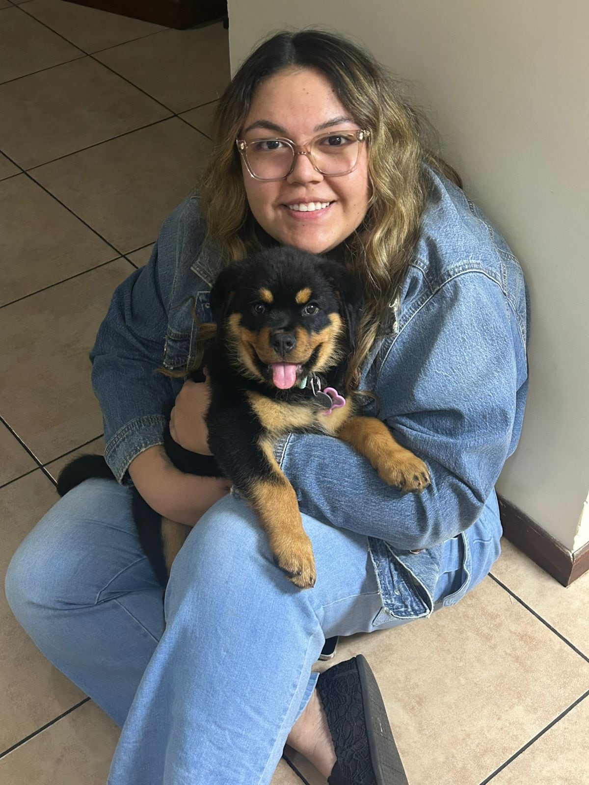 Numa, la Rottweiler que volvió a encender la luz de amor perruno en una casa de Santo Domingo de Heredia