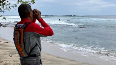 Personas que caminaban por playa en Puntarenas hicieron macabro hallazgo