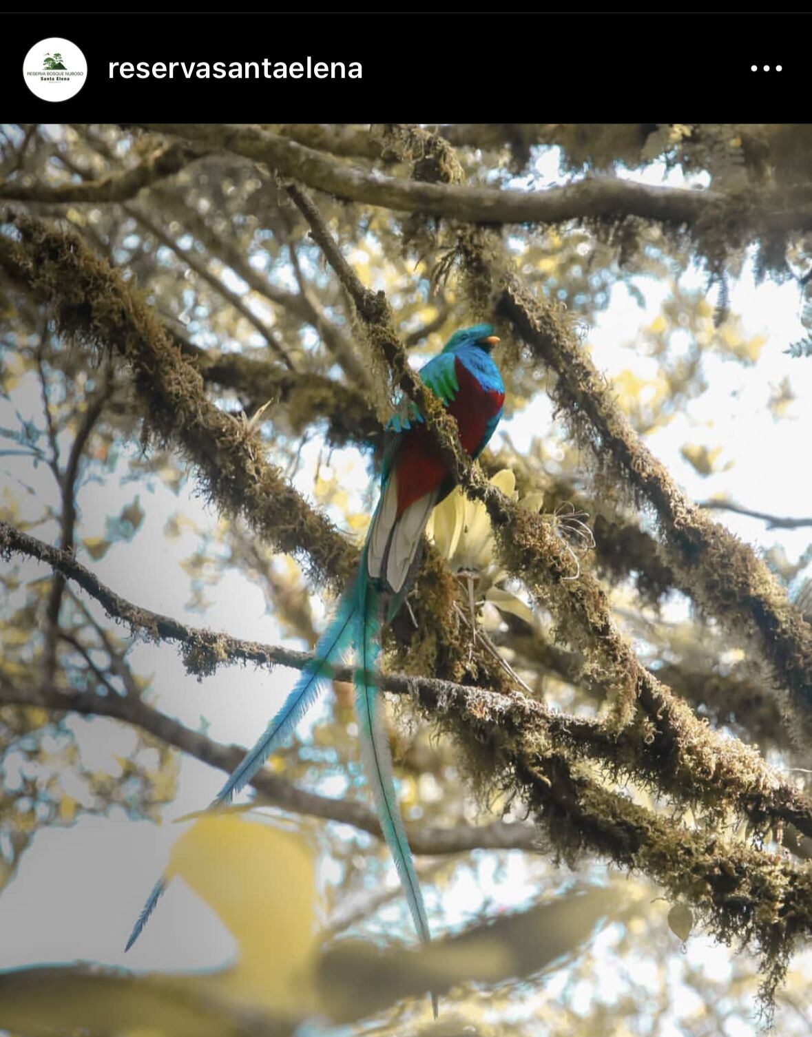 Reserva Santa Elena Monteverde