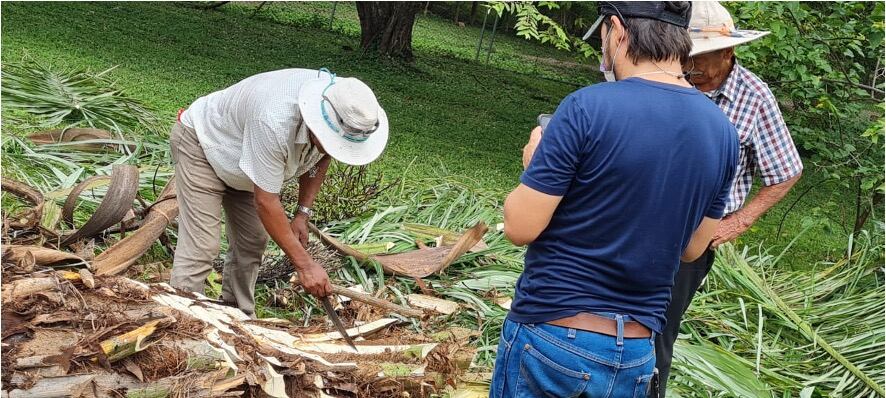 Don Francisco Alvarado, mejor conocido como “Chico de la Loma” y don José Luis Villarreal, mejor conocido como “Güicho Pizarro”, son dos experimentados coyoleros guanacatecos