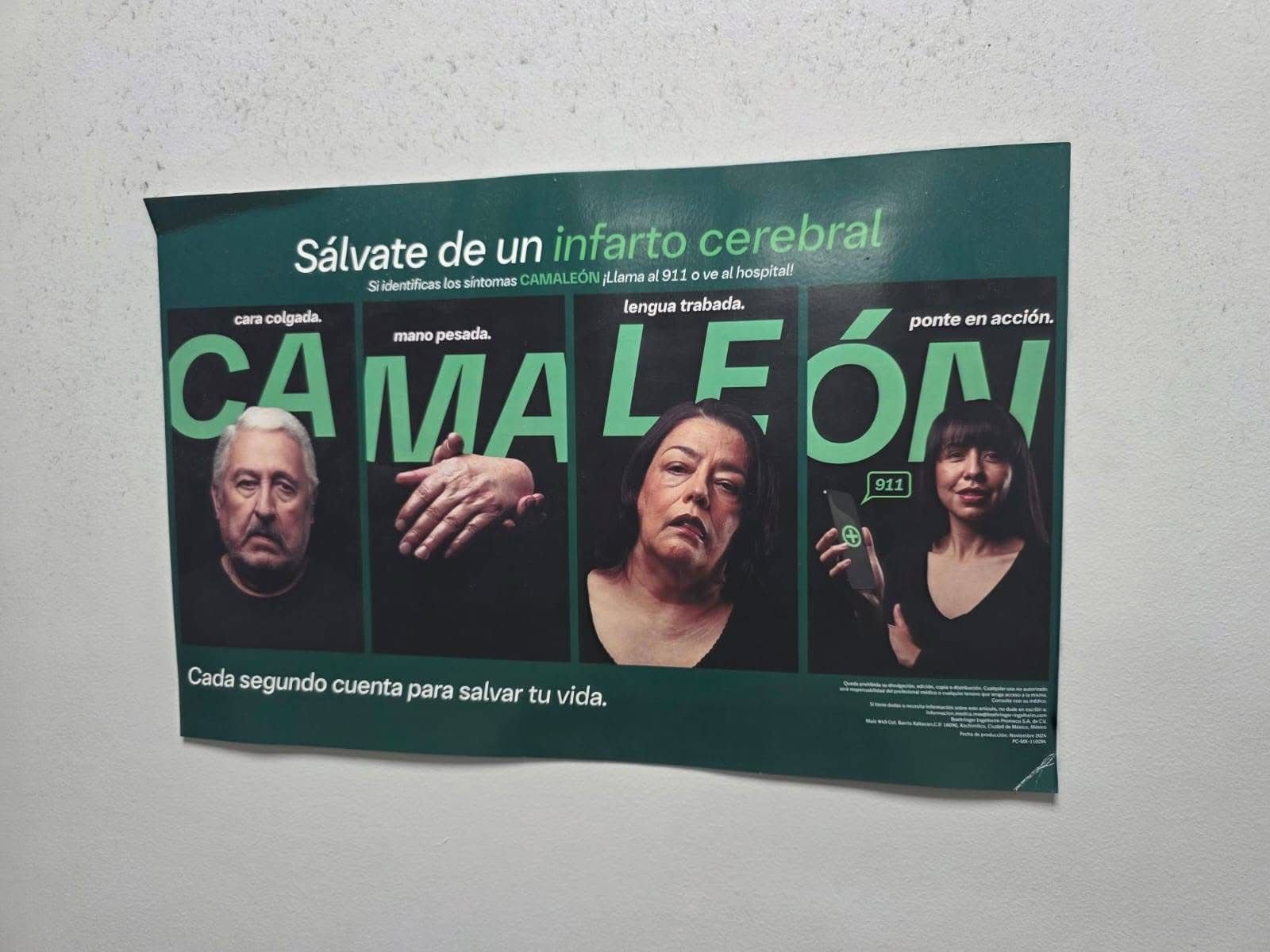 Rótulo sobre infarto cerebral