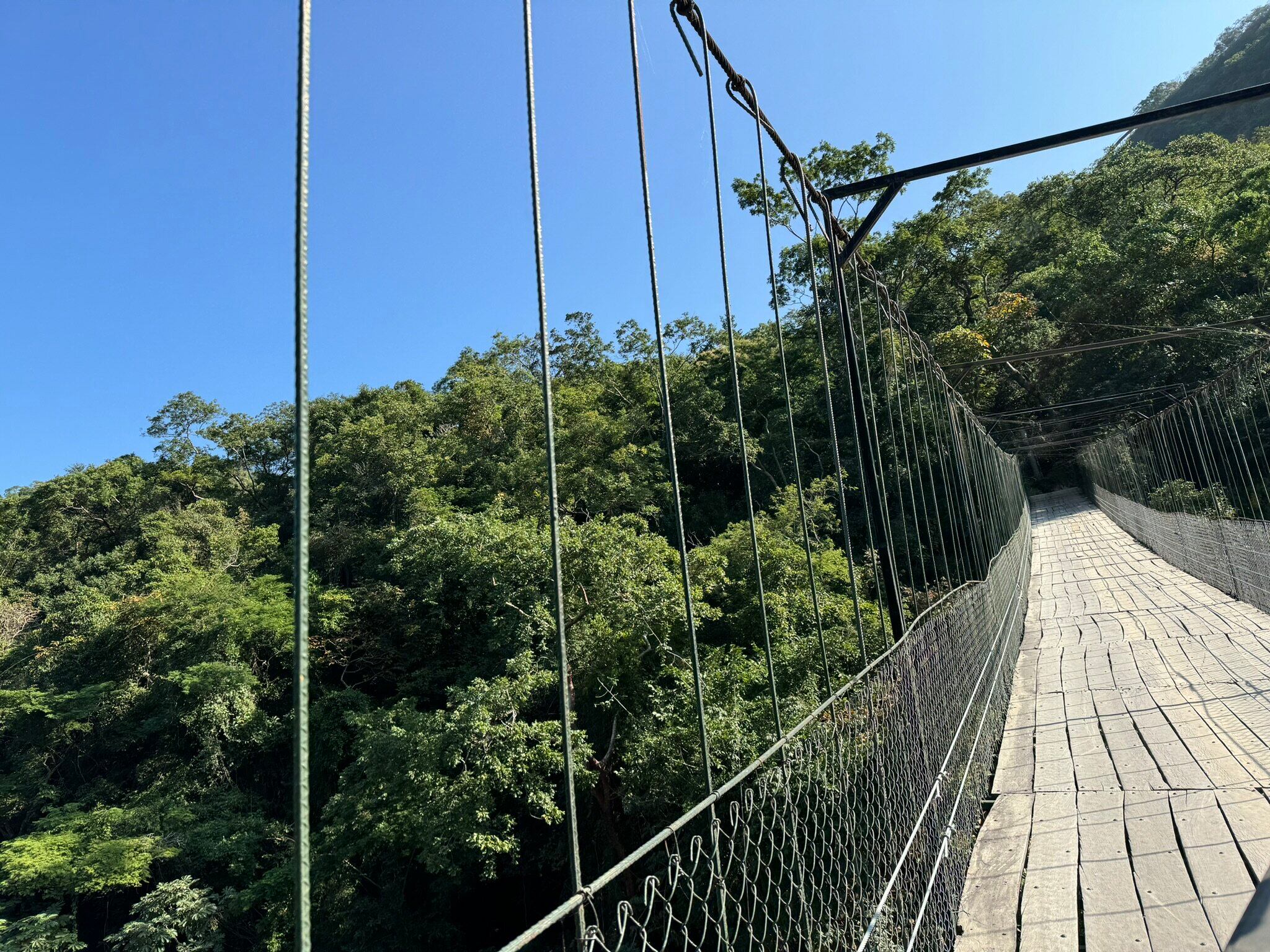 El puente colgante vehicular más largo del mundo está entre la naturaleza de México.