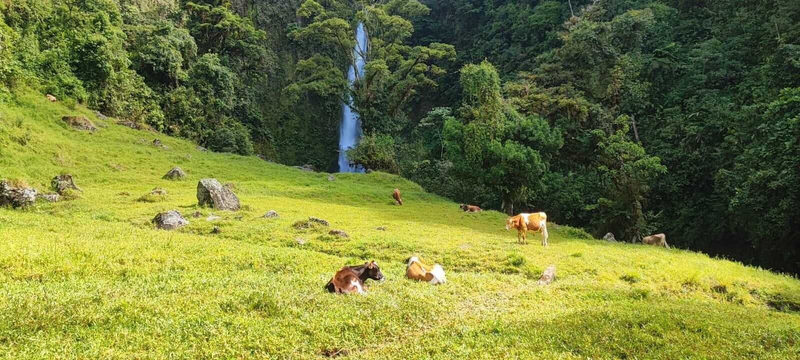Catarata la Muralla y las Trillizas.