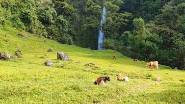 Por 6 rojitos podrá aventurarse a descubrir cuatro hermosas cataratas en Turrialba