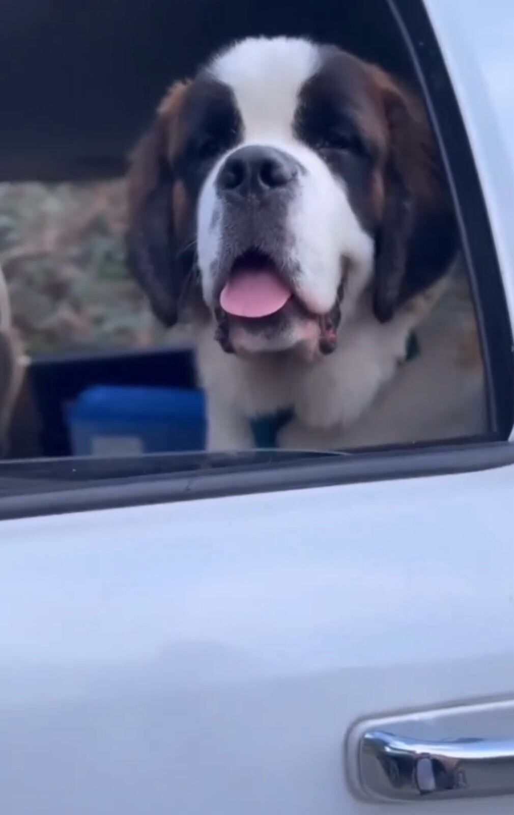 Montserrat del Castillo para la Teja