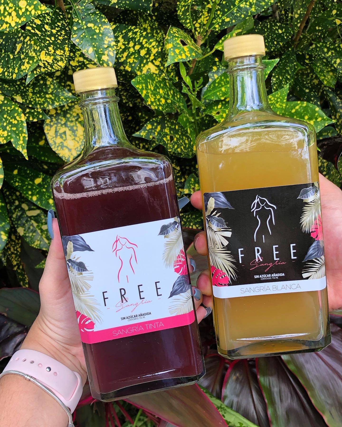 Génesis Solano Márquez tiene 28 años y una determinación que impresiona. Esta joven vecina de San José es la mente, el corazón y las manos detrás de Free Sangría, una marca nacional de bebidas sin azúcar que nació en plena pandemia