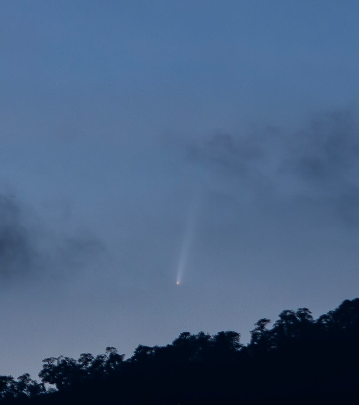 Al “Cometa del siglo” solo podremos verlo una vez en nuestras vidas y es justo en este mes de octubre que tenemos la posibilidad. El próximo 12 de octubre será el día en el cual el cometa está en su distancia más cercana a la Tierra. Foto deJonathan Torres Mathiew desde Coronado, San José.
