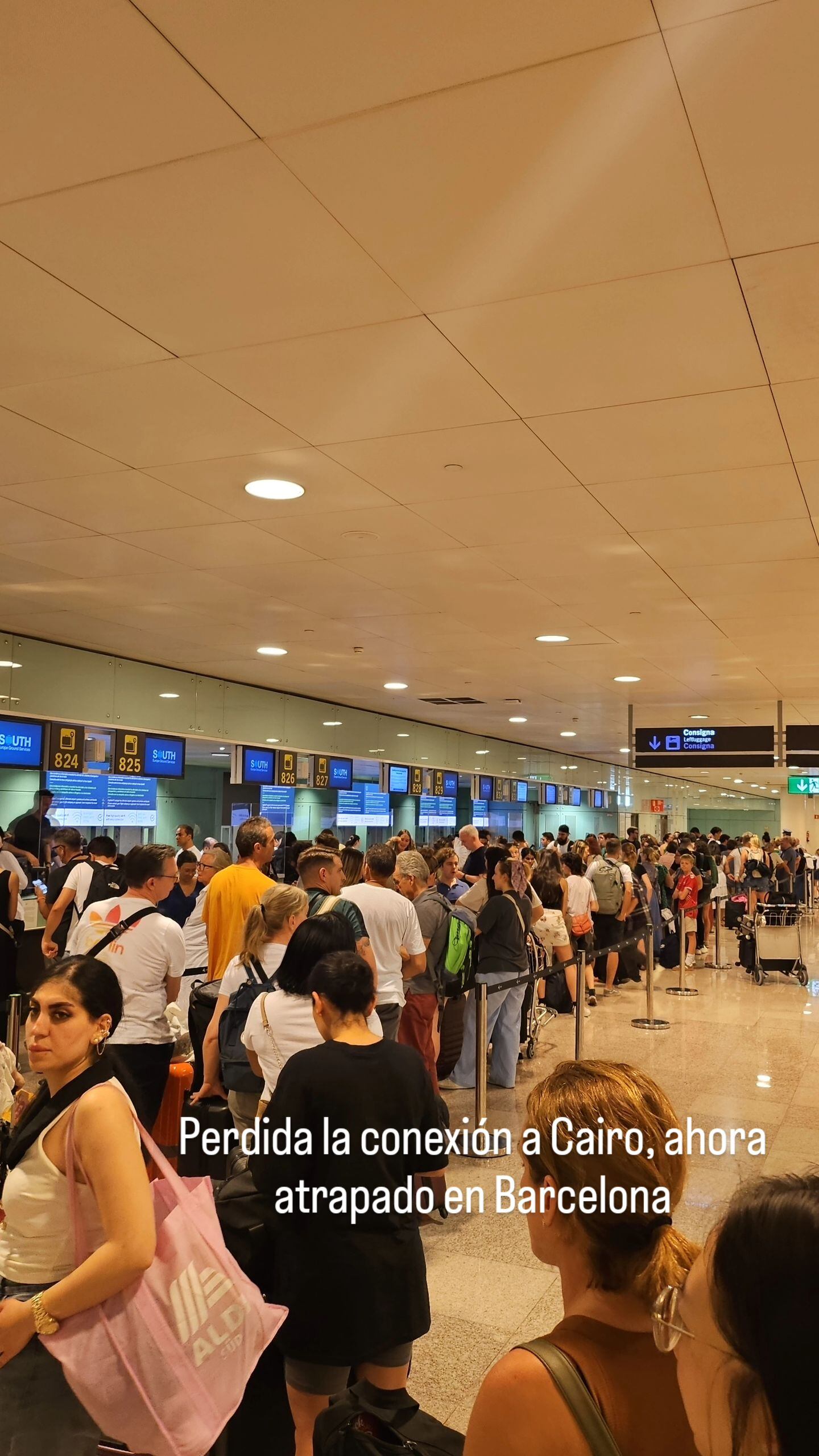 Rodrigo Lagunas, cantante y músico de programas de canal 7 como Tu cara me suena y Nace una estrella