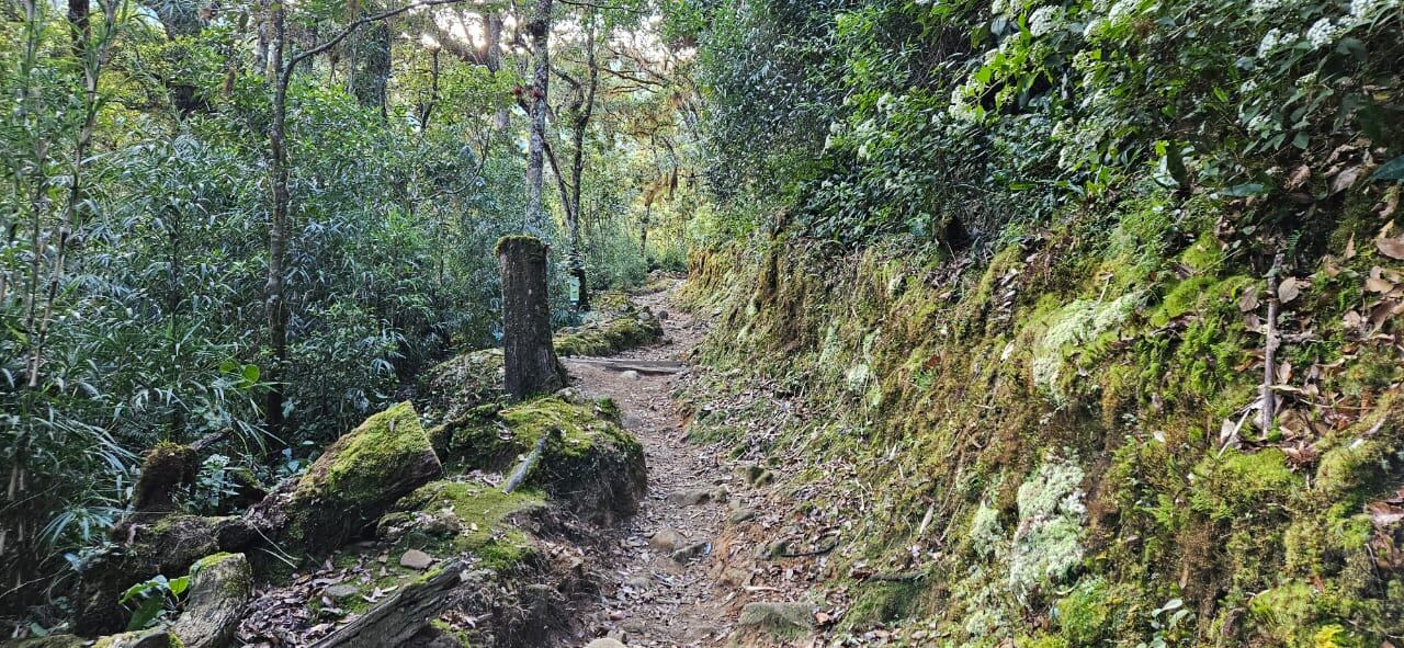 Fotos para crónica de la subida al cerro Chirripó