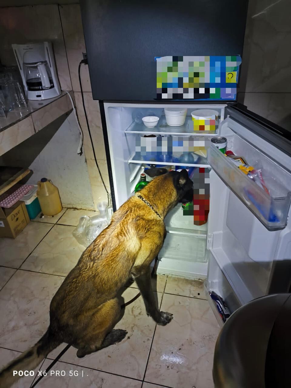 Un hombre de apellido Vega fue detenido por el homicidio de un joven en la zona sur