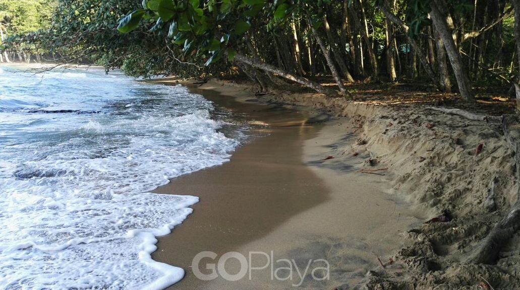 Playa Chiquita se ubica en Puerto Viejo, Limón. Foto: Go Playa