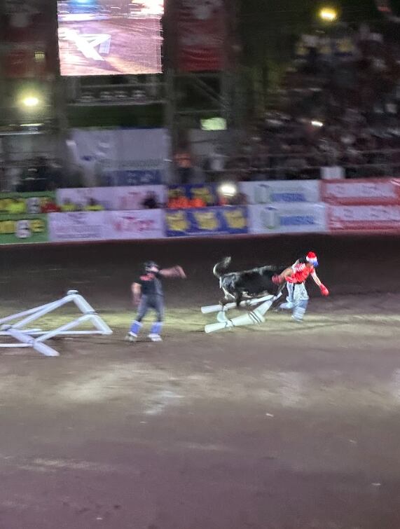 Mauricio Astorga vivió segundos de angustia este viernes en Toros Teletica