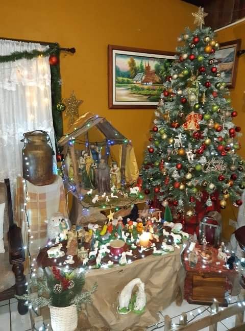 Ana González, quien tiene 63 años y vive en San Antonio de Desamparados, que ella tenía las banderas y escudos de Costa Rica adornando la parte de afuera de la casa, pero por dentro ya todo era navideño.