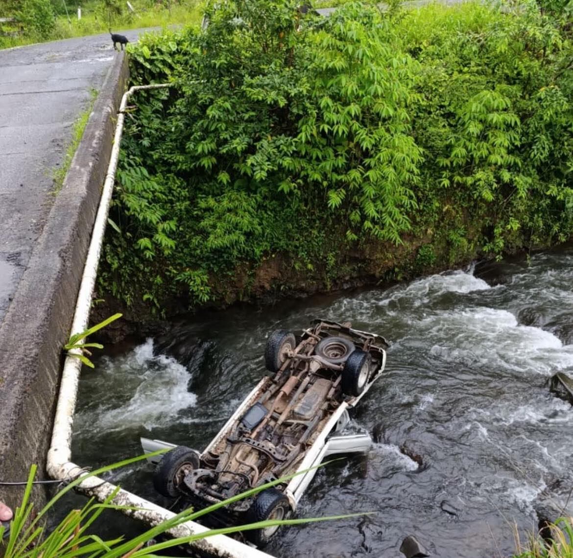 El conductor de un carro quedó en condición delicada al perder el control del volante cuando pasaba un puente angosto y caer a un río. Foto: Tomada de El Norte Hoy