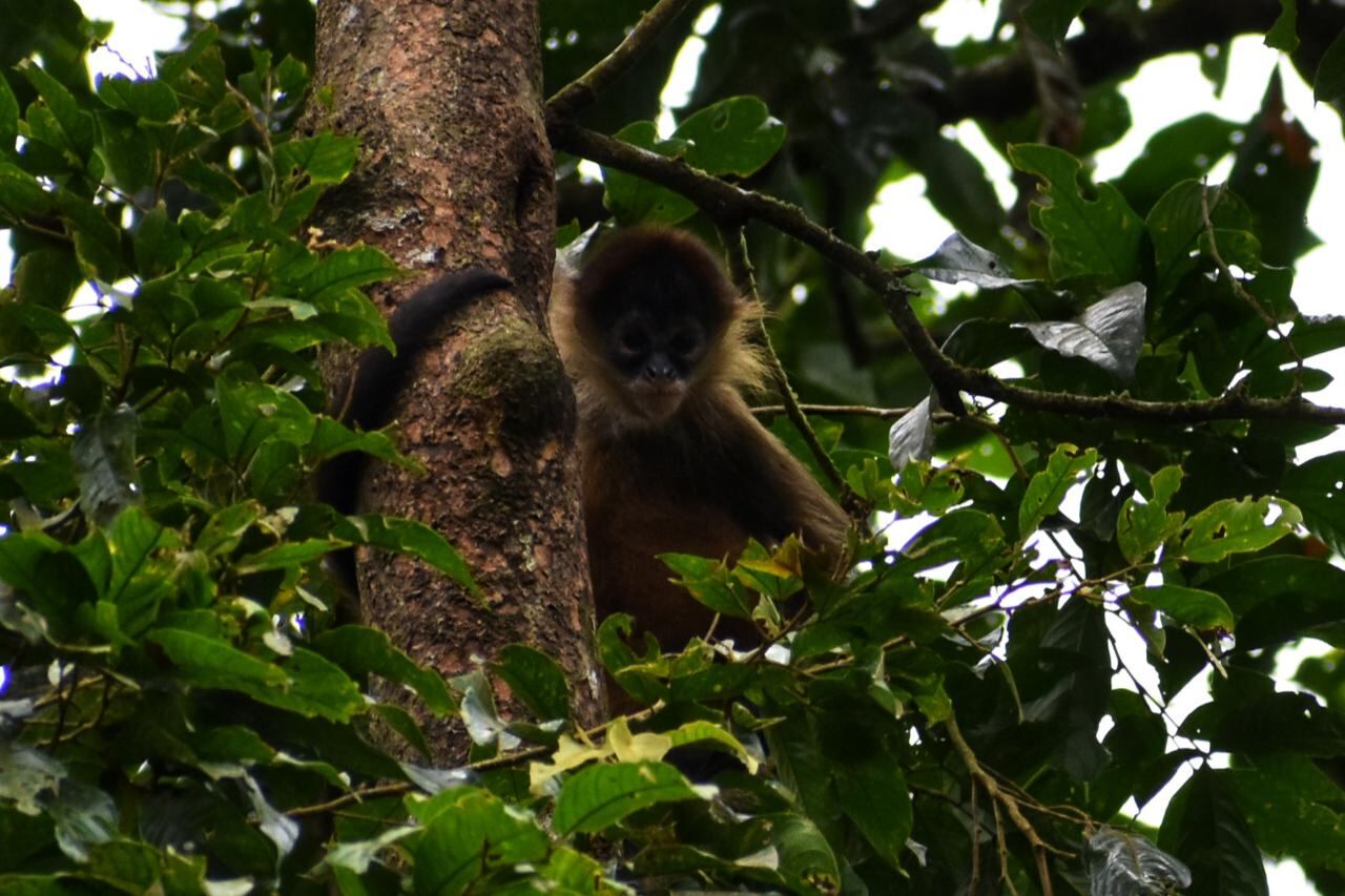 Refrésquese en unas mágicas pozas cerca de San José por solo dos rojitos.