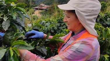 El papa Francisco tomará cafecito producido por una pulseadora de Aserrí