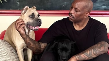 Famoso actor de Rápidos y Furiosos desapareció junto con sus perros luego de mortal ataque a mascota de un vecino