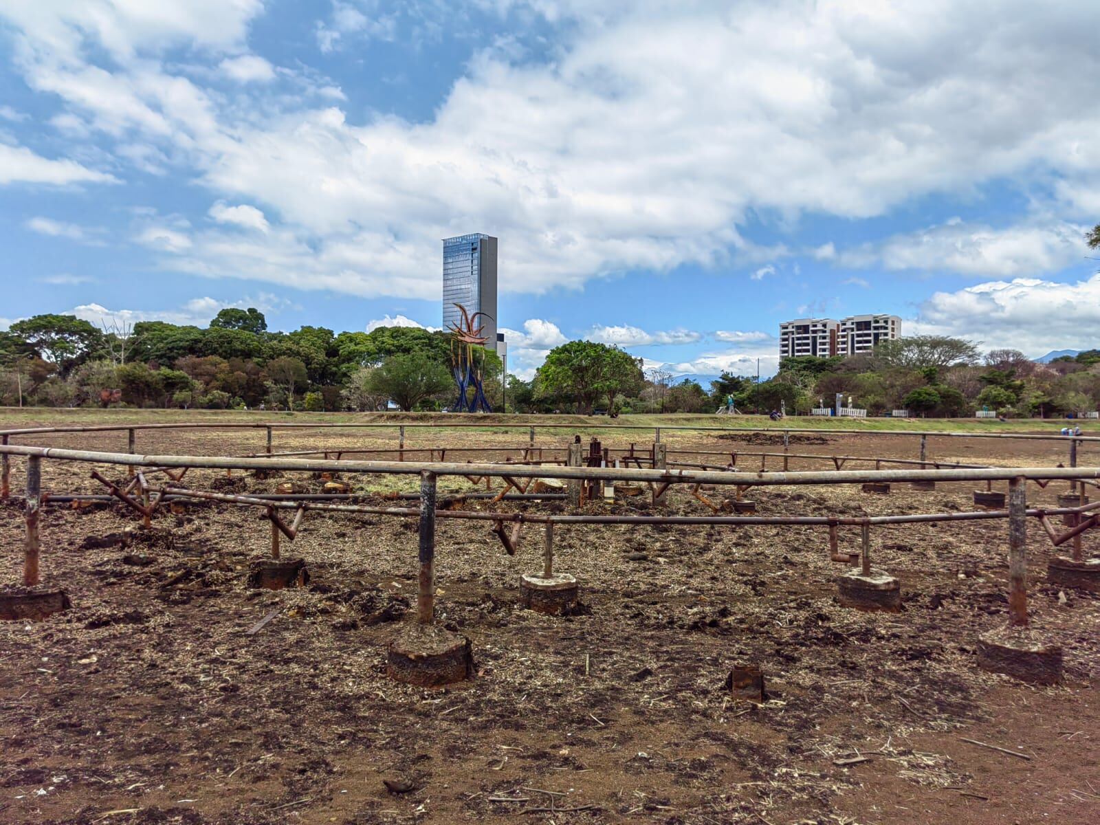 El lago de La Sabana estaba completamente seco el domingo 13 de marzo del 2020.
