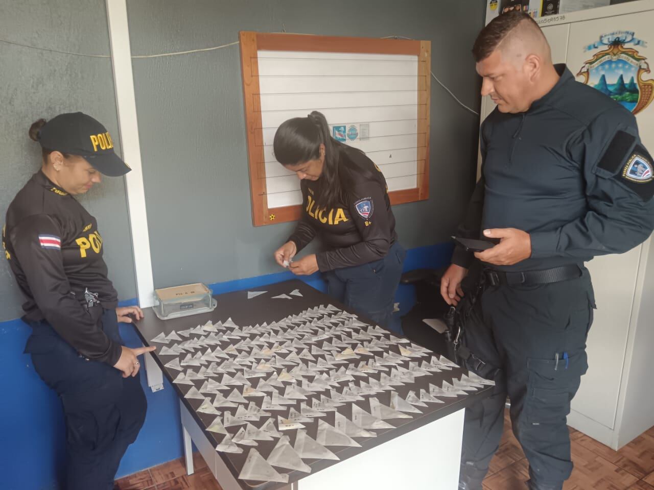 Japonés fue detenido con gran cantidad de mariposas