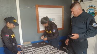 Japonés fue detenido como sospechoso de hacer trampa para cazar hermosas mariposas